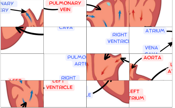 Heart Jigsaw