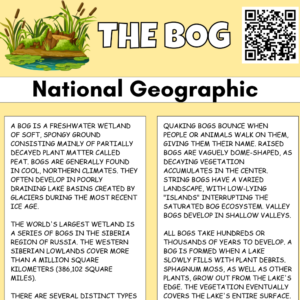 The Bog Comprehension